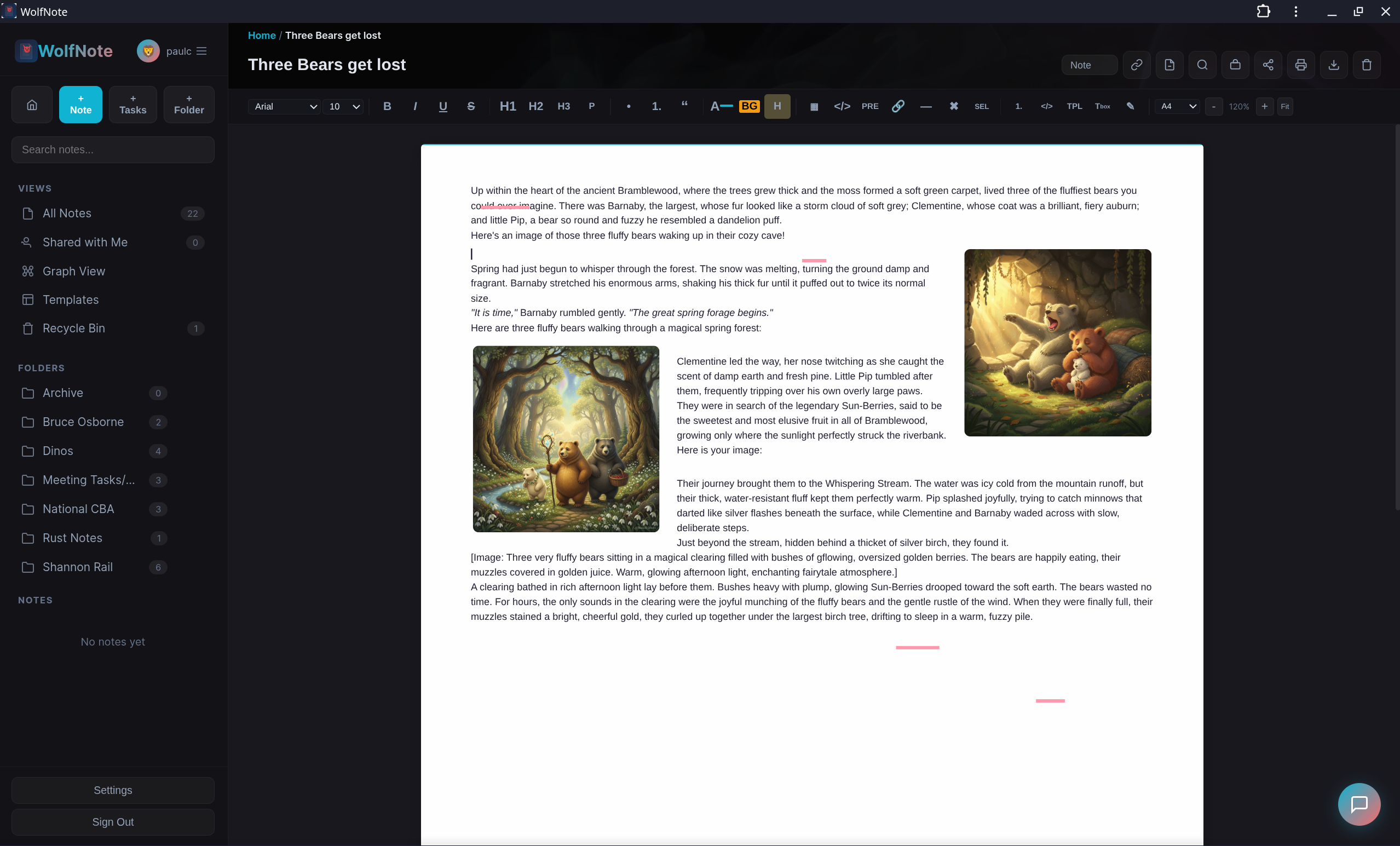 WolfNote page-based editor with ruler, paper styles and drawing tools